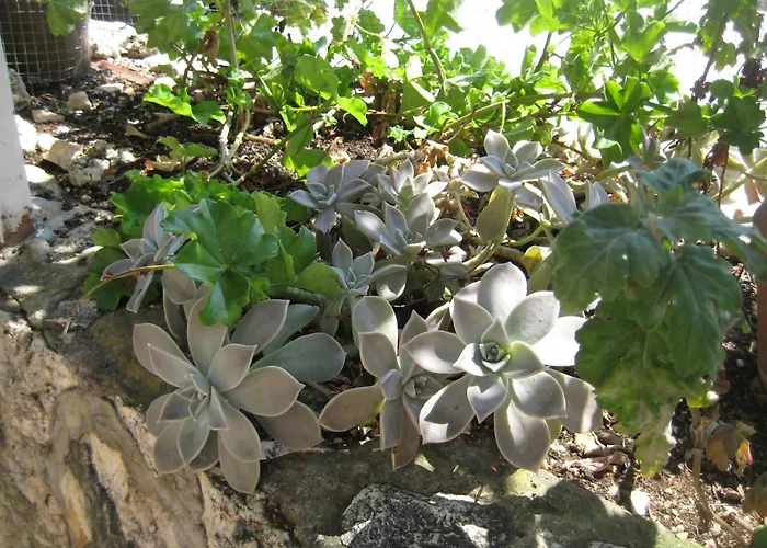 アパート House Tonka フヴァル